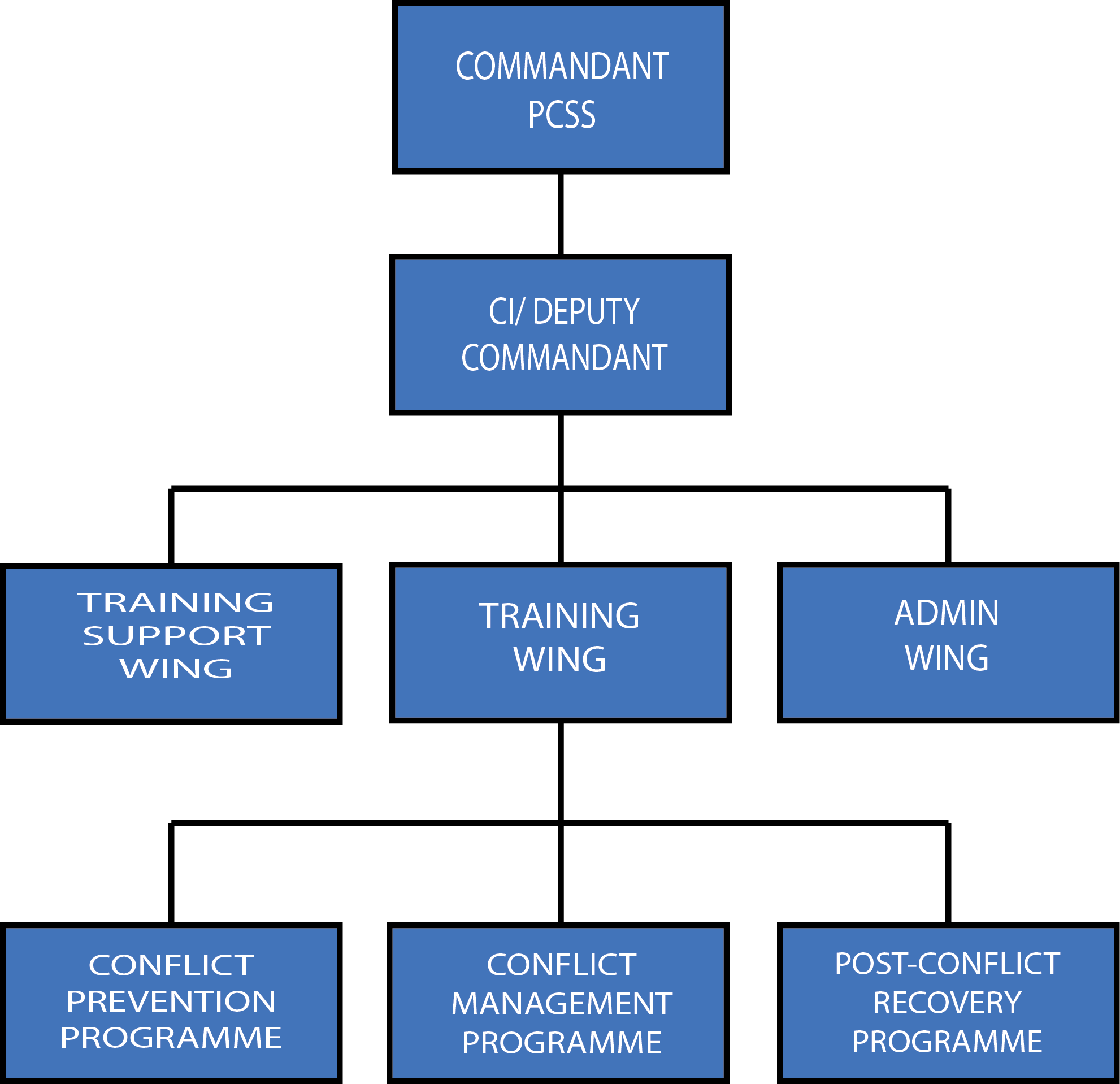 PCSS ORG STRUCTUREpng