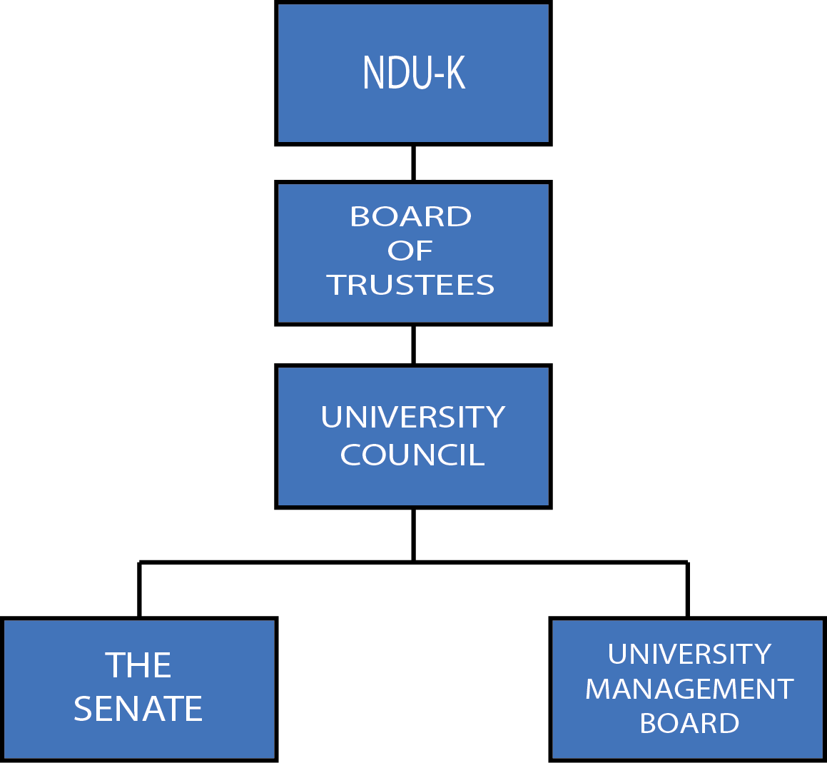 UNIVERSITY GOVERNANCE
